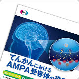てんかんにおけるAMPA受容体の役割（FYC1128）<br> 【会員限定】