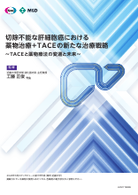 切除不能な肝細胞癌における 薬物治療+TACEの新たな治療戦略(LEN1719)