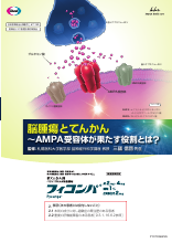 脳腫瘍とてんかん～AMPA受容体が果たす役割とは？～（FYC1036）