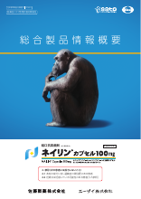ネイリン総合製品情報概要（NLI1004）